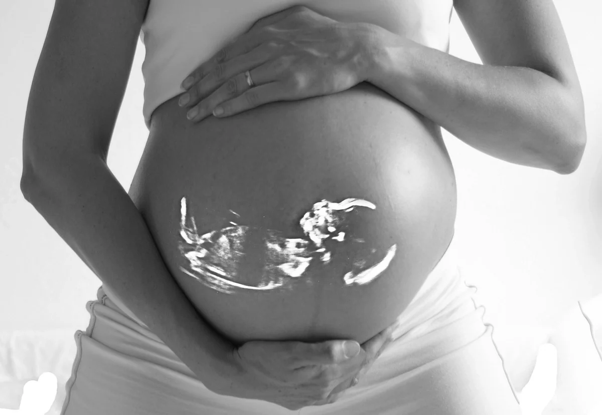 Comment connecter Alexa à la wifi en 2026 : guide simple et rapide